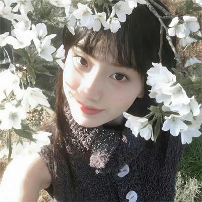 玉女龙驹